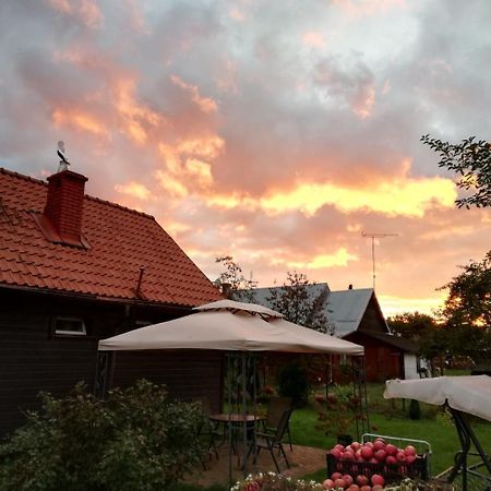 Domek Zapiecek Bialowieza Luaran gambar