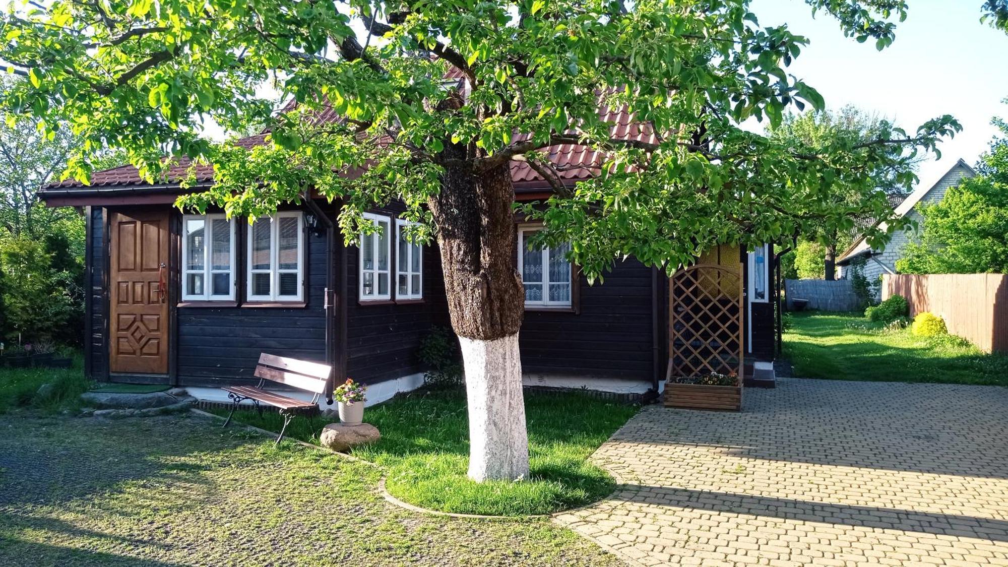 Domek Zapiecek Bialowieza Luaran gambar