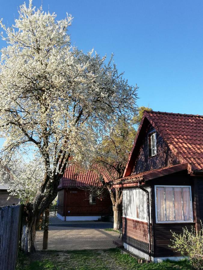 Domek Zapiecek Bialowieza Luaran gambar